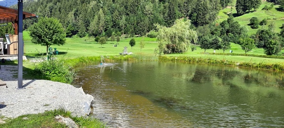 76d8c329-8136-4693-8ef1-8f38dde331f6