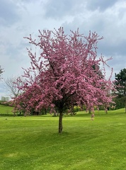 doch Frühling?