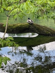 IMG 0316